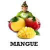 Flavor :  Sc Mangue by Vapote Style