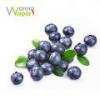 Flavor :  Blaubeere par WANNA VAPOR