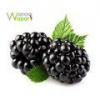 Flavor :  Brombeere par WANNA VAPOR
