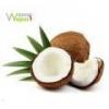 Flavor :  Kokosnuss by Wanna Vapor