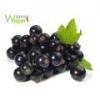 Flavor :  Schwarze Johannisbeere by Wanna Vapor