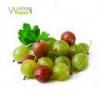 Flavor :  Stachelbeere by Wanna Vapor