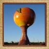Flavor :  Peach Sensation by Want2Vape