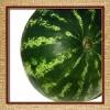 Flavor :  Watermelon by Want2Vape