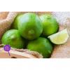 Flavor :  Sc Lime by Wonder Flavours