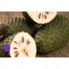 Flavor :  Sc Soursop by Wonder Flavours