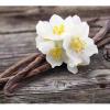 Flavor :  Vanilla Ruyan Custard by Wonder Flavours