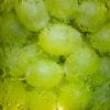 Flavor :  Sparkling Grape by Wrecka