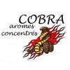 Flavor :  Cobra by Allday