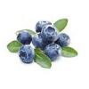Flavor :  Sl Blueberry Extra by Capella Flavors Inc.