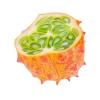 Flavor :  Kiwano by Dampfer-Taxi