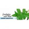 Flavor :  Eucalyptus With Mint by Flavours Lab