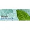 Flavor :  Menthol by Flavours Lab