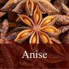 Flavor :  Anise by Fly me to Mars