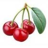 Flavor :  Kirsche par HOCHLAND DAMPF