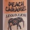 Flavor :  Peach Caramel by Jungle Juices
