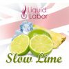 Flavor :  Slow Lime by Liquid Labor