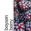 Flavor :  Boysenbeere by rauchFREI