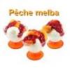 Flavor :  Peche Melba by Vapo-Land